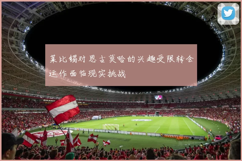 莱比锡对恩古莫哈的兴趣受限转会运作面临现实挑战